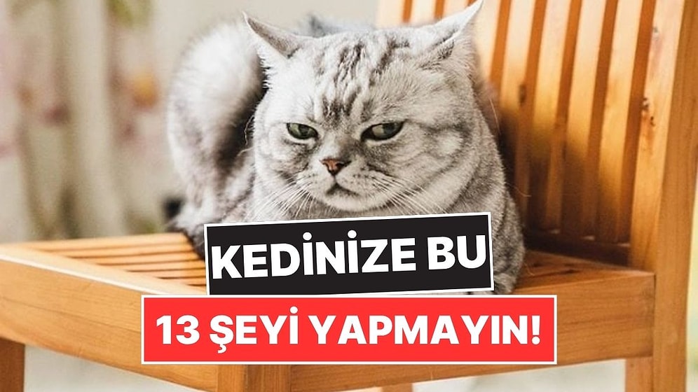 Uzmanlara Göre Kedinize Asla Yapmamanız Gereken 13 Şey