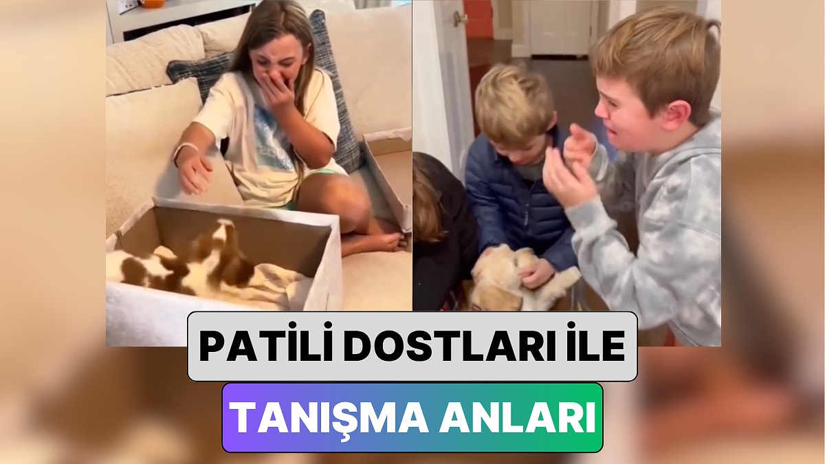 Miniklerin Patili Dostları ile İlk Kez Karşılaştıkları Anları İzlerken Siz de Onlarla Duygulanacaksınız