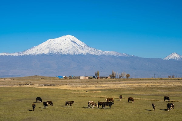 Mount Ararat Climb and Routes