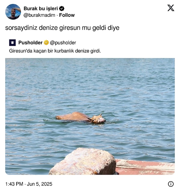 👇