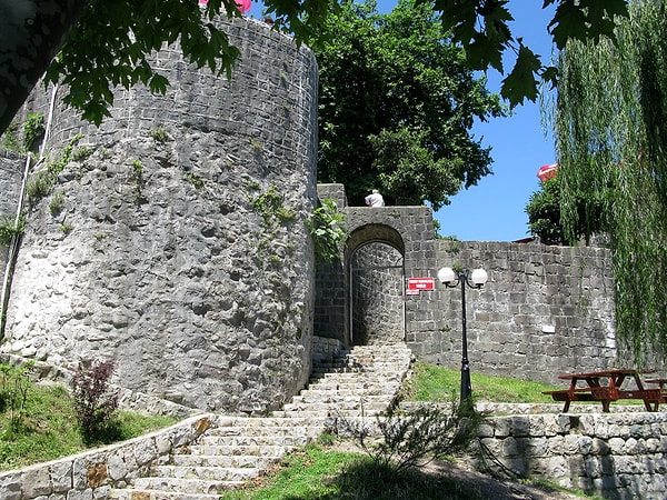 The History of Rize Castle
