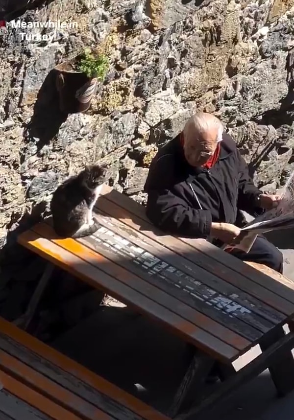 Turistin paylaşımı beğenilerle buluştu, yorumlar da gecikmedi. Görseli