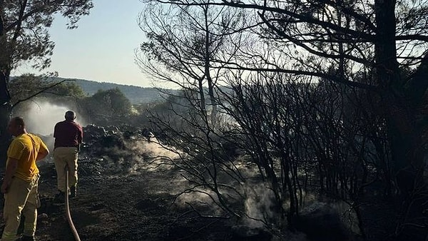 Kıvılcımların sıçramasıyla başlayan yangını kendi imkanlarıyla söndürmeye çalışan D.Ç., başarılı olamayınca yaklaşık iki dönümlük alan ile 22 kızılçam ağacı zarar gördü. Görseli