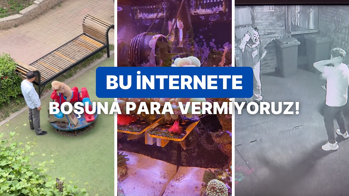 İnternete Verdiğimiz Parayı Hak Edip Yüzümüzü Güldüren 10 Paylaşım