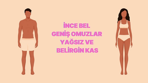 Mezomorf Vücut Tipi