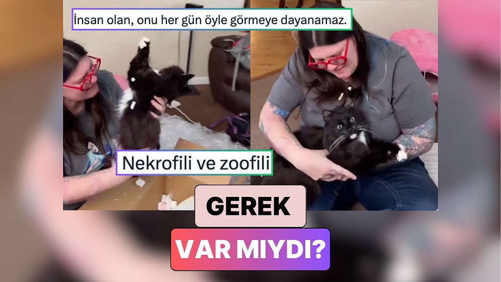 Gerçekten Gerek Var mıydı? Bir Kadın Hayatını Kaybeden Kedisini Kuru Dondurma Yöntemi ile Doldurttu
