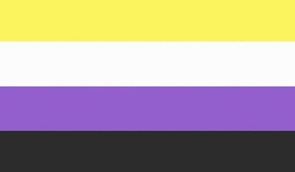 Non-Binary Bayrağı