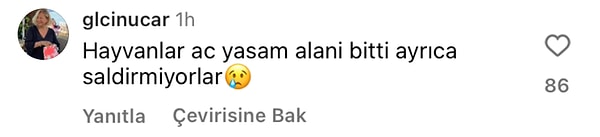 👇