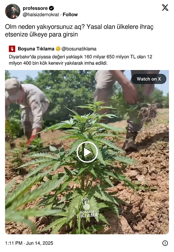 Sokak köpeklerini uyutmak yerine Çin'e ihraç etme fikrini veren amcanın akrabası.