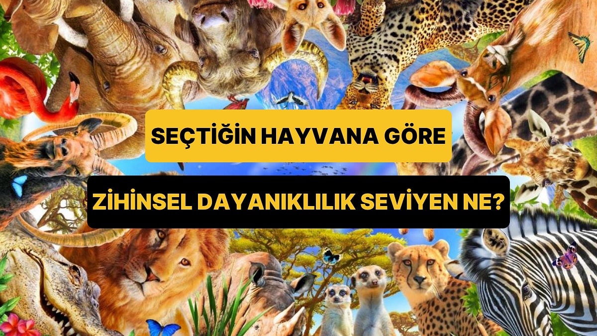 Seçtiğin Hayvana Göre Zihinsel Dayanıklılığın Ne Seviyede?