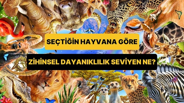 Seçtiğin Hayvana Göre Zihinsel Dayanıklılığın Ne Seviyede?
