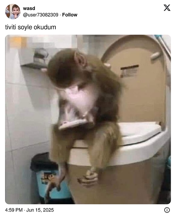 Gelen cevapları ise kesinlikle görmelisiniz! Görseli