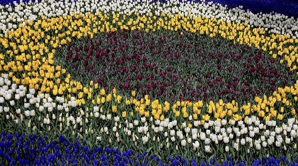 How do the Yellow, Pink and White Pavilions operate?