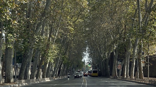 2. sırada Dolmabahçe Çırağan Caddesi var. Görseli