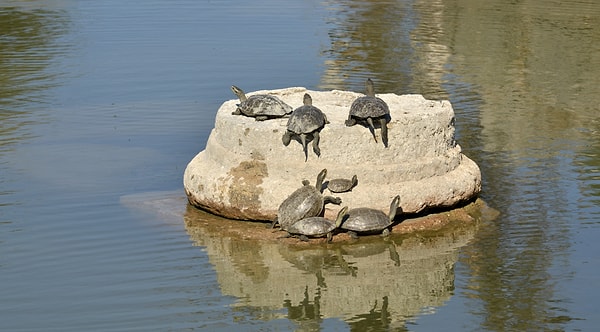 Other Activities in Letoon