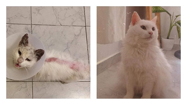 2. Geçirdiği değişim akıllara zarar! Kalbimiz erimedi desek yalan olur 😻