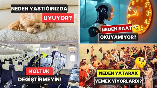 Sohbetlerin Aranan İsmi Olacaksınız: Arkadaş Ortamında Satabileceğiniz 15 Şaşırtıcı Bilgi