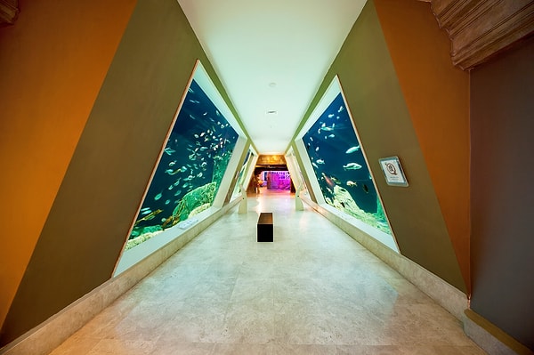Where is the Istanbul Aquarium and how to get there?
