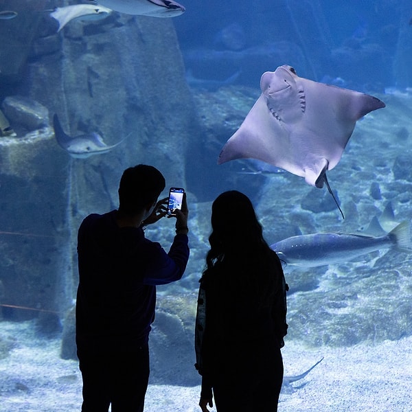 Entrance Fees and Visiting Hours