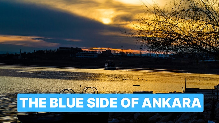 Discover Lake Mogan: One of Turkey’s Richest Natural Habitats for Flora and Fauna