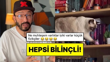 Uzmanlık Alanı Kediler Olan Bir İçerik Üreticisi Neden Israrla Eşyaları Yere Düşürdüklerini Açıkladı