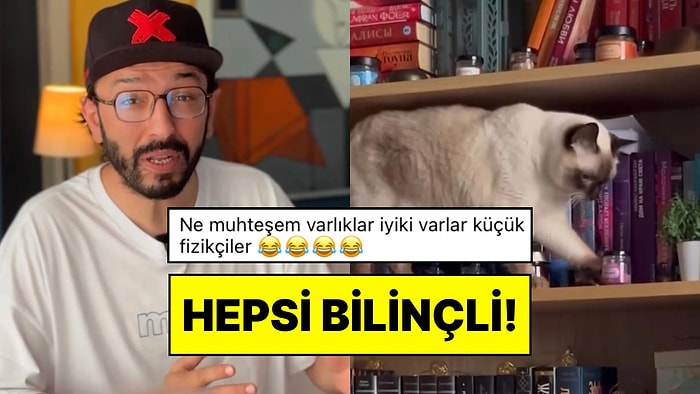 Uzmanlık Alanı Kediler Olan Bir İçerik Üreticisi Neden Israrla Eşyaları Yere Düşürdüklerini Açıkladı