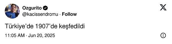 Siz neler düşünüyorsunuz?
