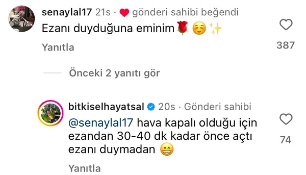 👇