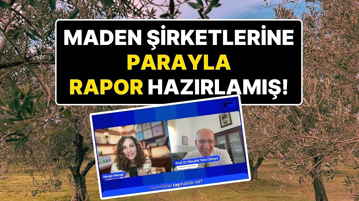 Nevin Mengü’nün Yayınında ‘Zeytin Taşınır’ Demişti: Maden Şirketlerine Parayla Rapor Hazırlamış!