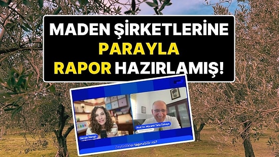 Nevşin Mengü’nün Yayınında ‘Zeytin Taşınır’ Demişti: Maden Şirketlerine Parayla Rapor Hazırlamış!