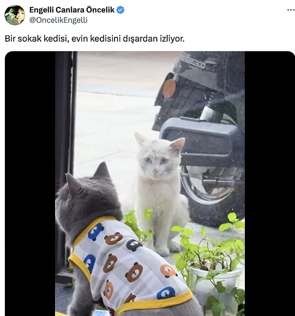 İşte o görüntüler...