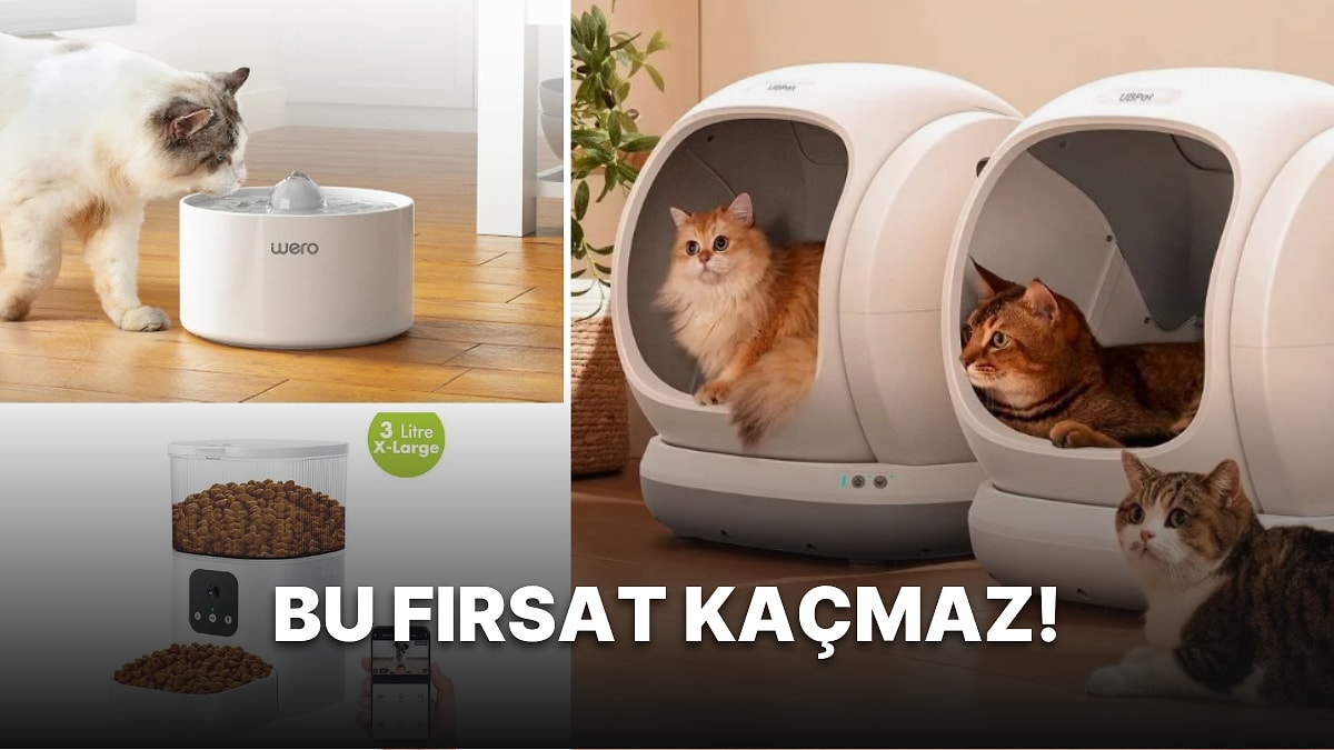 Patili Dostun İçin En Havalı Ürünlerde Tekno Pati Fırsatları Başladı!