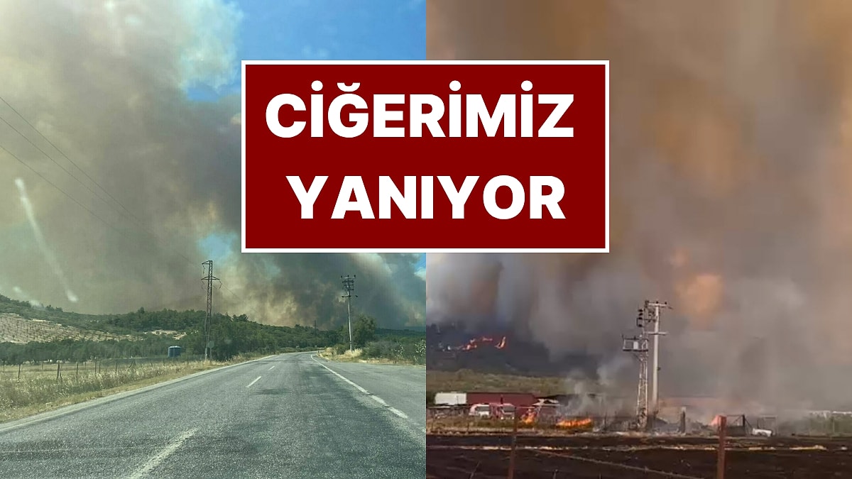 İzmir&apos;de Orman Yangını: Evler Tahliye Edildi! Belediye Başkanından Açıklama: &quot;Çok Üzgünüz&quot;