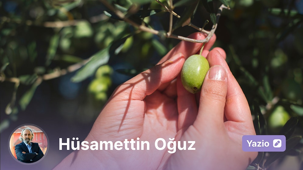 Kaz Dağlarının Zeytin Hikayesi: #ZeytinimeDokunma