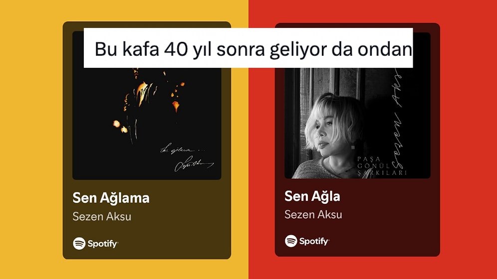 Yeni Albümüyle 40 Yıl Sonra “Sen Ağla” Diyerek Fikir Değiştiren Sezen Aksu Sosyal Medyanın Gündeminde
