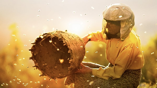 16. Honeyland