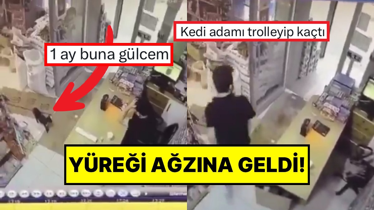 Kedi Özel HareCat! Kutuyu Hareket Ettirip Kaçan Kedi, Market Çalışanına Korku Dolu Anlar Yaşattı