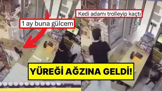 Kedi Özel HareCat! Kutuyu Hareket Ettirip Kaçan Kedi, Market Çalışanına Korku Dolu Anlar Yaşattı