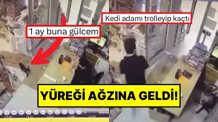 Kedi Özel HareCat! Kutuyu Hareket Ettirip Kaçan Kedi, Market Çalışanına Korku Dolu Anlar Yaşattı
