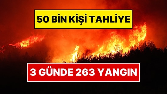 İzmir, Bilecik ve Hatay Orman Yangınlarının Bilançosu Belli Oldu