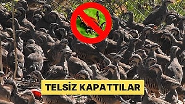 2025 yazı başta İç Anadolu olmak üzere kene vakalarının arttığı bir yıl olarak gözlemlendi
