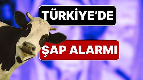 Türkiye Genelinde Şap Hastalığı Alarmı: 81 İlde Tüm Hayvan Pazarları Kapatıldı