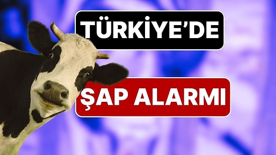 Türkiye Genelinde Şap Hastalığı Alarmı: 81 İlde Tüm Hayvan Pazarları Kapatıldı