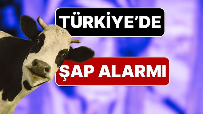 Türkiye Genelinde Şap Hastalığı Alarmı: 81 İlde Tüm Hayvan Pazarları Kapatıldı