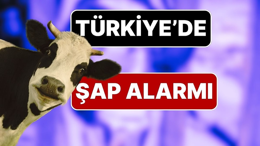 Türkiye Genelinde Şap Hastalığı Alarmı: 81 İlde Tüm Hayvan Pazarları Kapatıldı