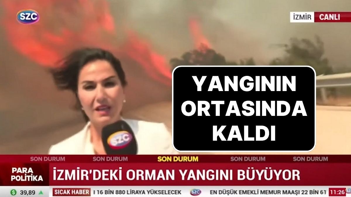 İzmir’de Yangının Bilançosu Açıklandı: Çeşme’den Kaçış Başladı, Konteyner Kentler Kuruluyor