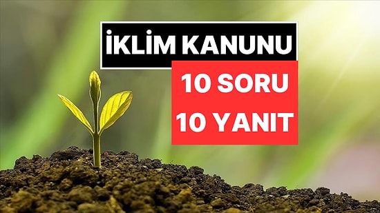 10 Soruda İklim Kanunu’na Dair Merak Edilenler: Doğa Talanı mı Doğayı Koruma mı?