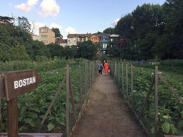Kuzguncuk Garden