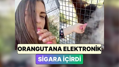 Hayvanat Bahçesine Giden Bir Kadın Kafesteki Orangutana Elektronik Sigara İçirdi