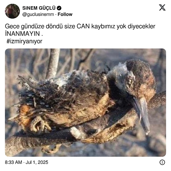 "Gece gündüze döndü size CAN kaybımız yok diyecekler İNANMAYIN" 👇